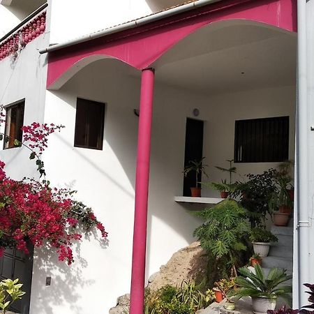 شقة Damontanha 2 Ribeira Grande المظهر الخارجي الصورة